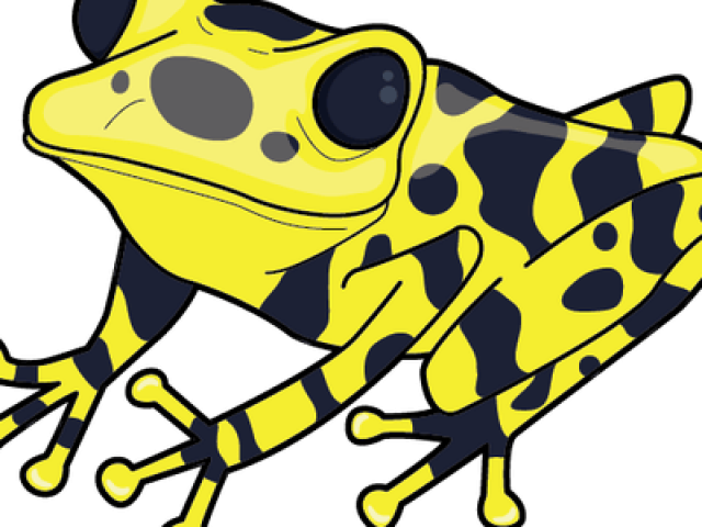 Poison Dart Frog Clipart Spotted Frog - Poison Dart Frog Clip Art - Png Download (640x480), Png Download