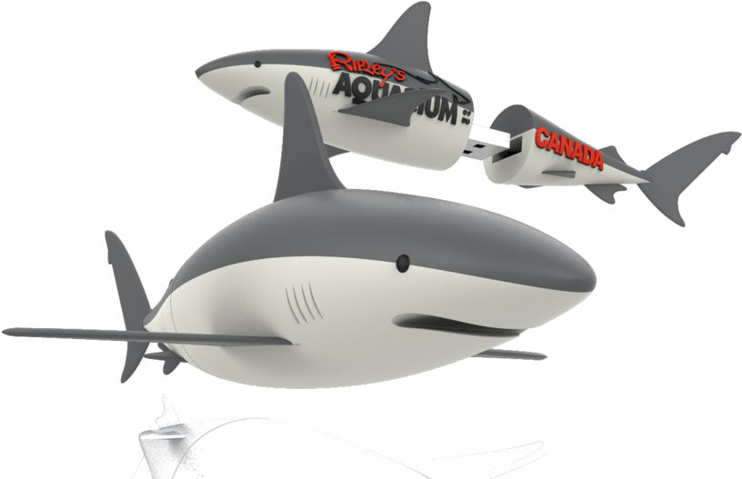 Shark Ripley - Great White Shark Clipart (1000x623), Png Download