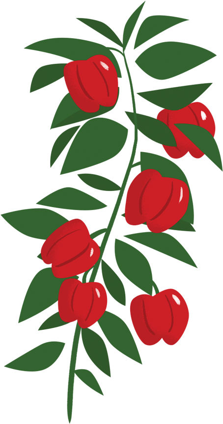 Image Is Not Available Clipart (490x900), Png Download
