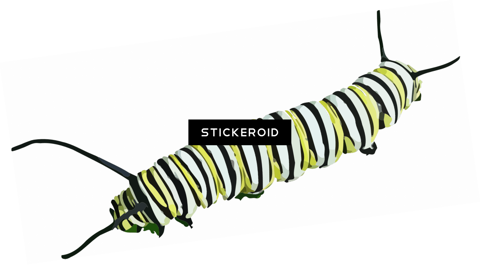 Caterpillar Clipart - Imagenes De Animales Que Se Arrastran - Png Download (1679x927), Png Download