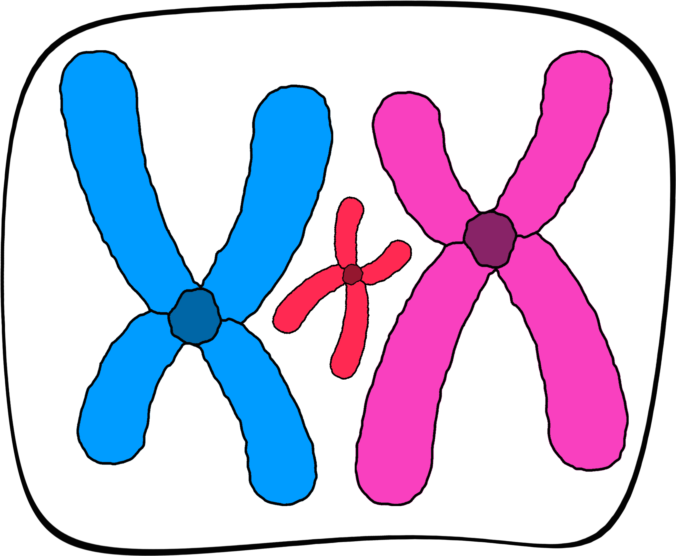 Portable Network Graphics Clipart (3000x3000), Png Download