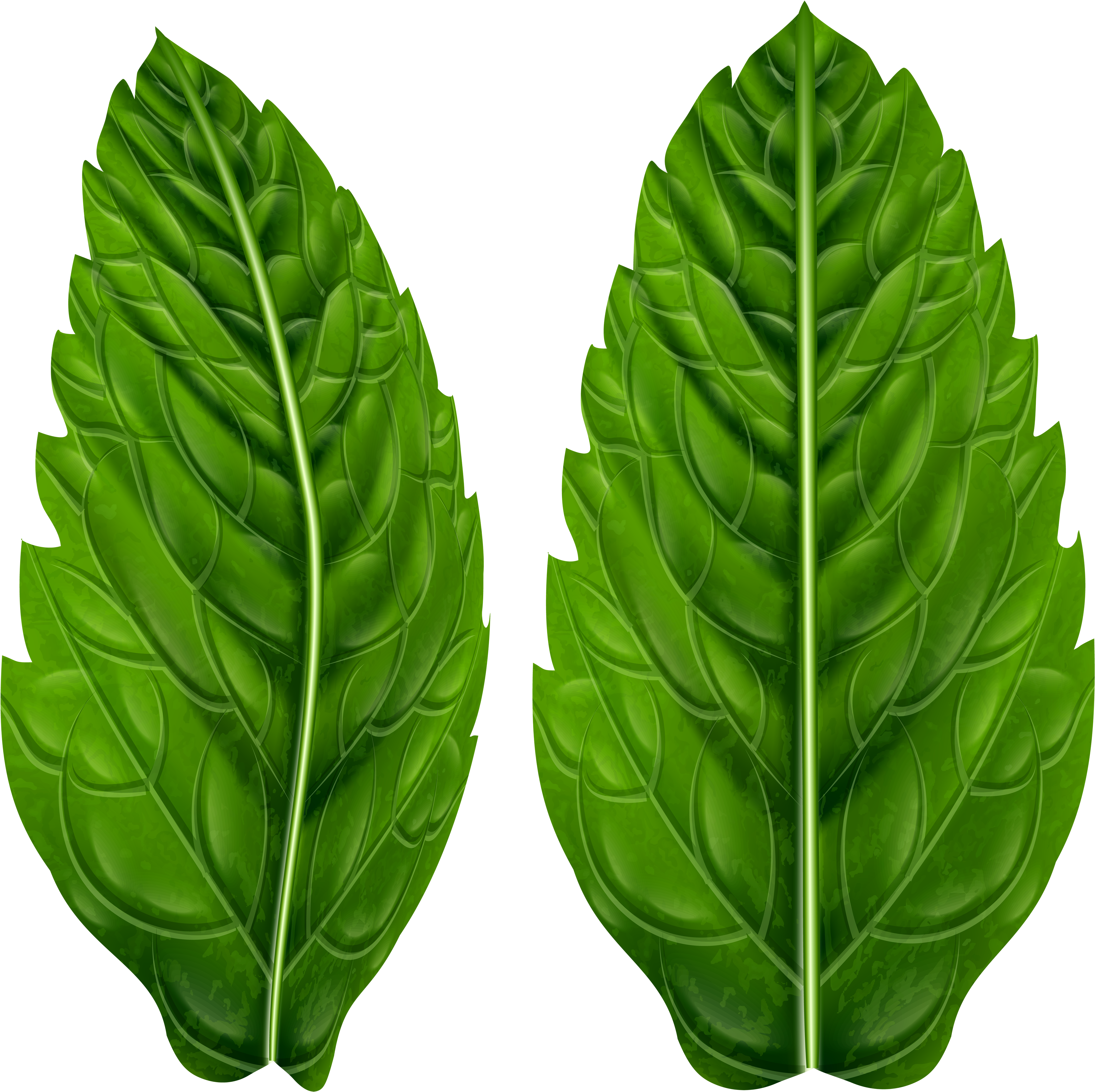 Clip Art - Png Download (4000x4000), Png Download