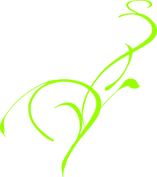 Vine Clip Art - Png Download (528x595), Png Download