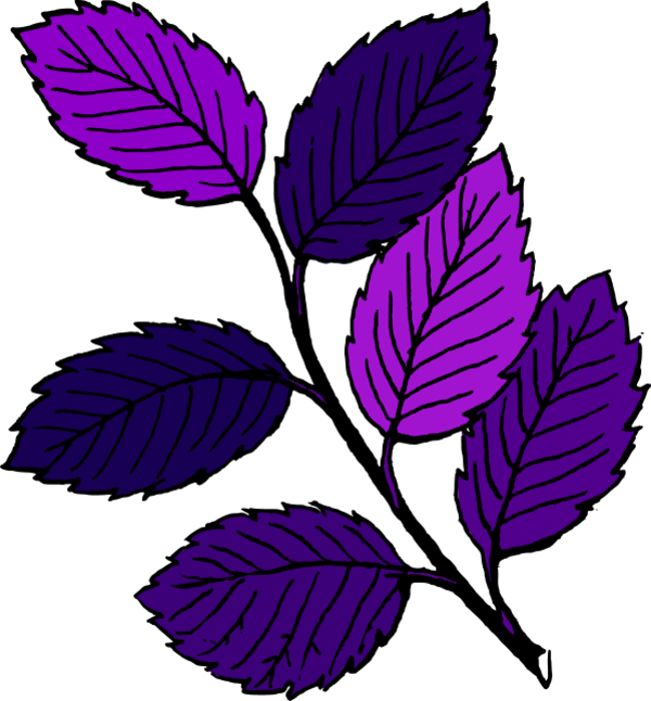 Leaf Branch Clipart - Fall Leaves Cartoon Drawing - Png Download (600x646), Png Download