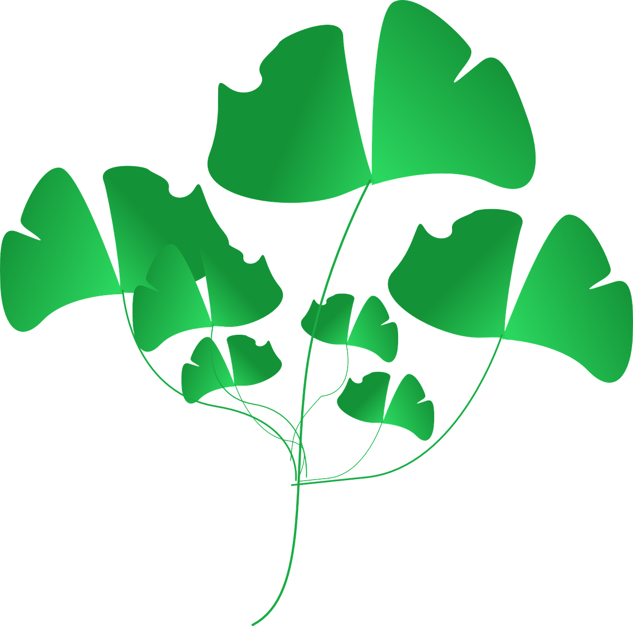 Leaf Clipart (900x900), Png Download