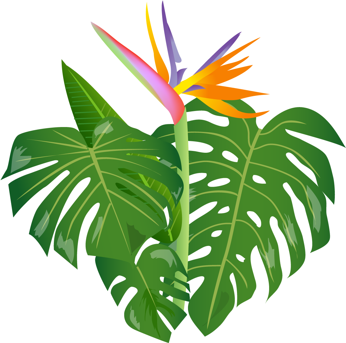 Shrub Clipart Jungle - Clip Art - Png Download (1281x1173), Png Download