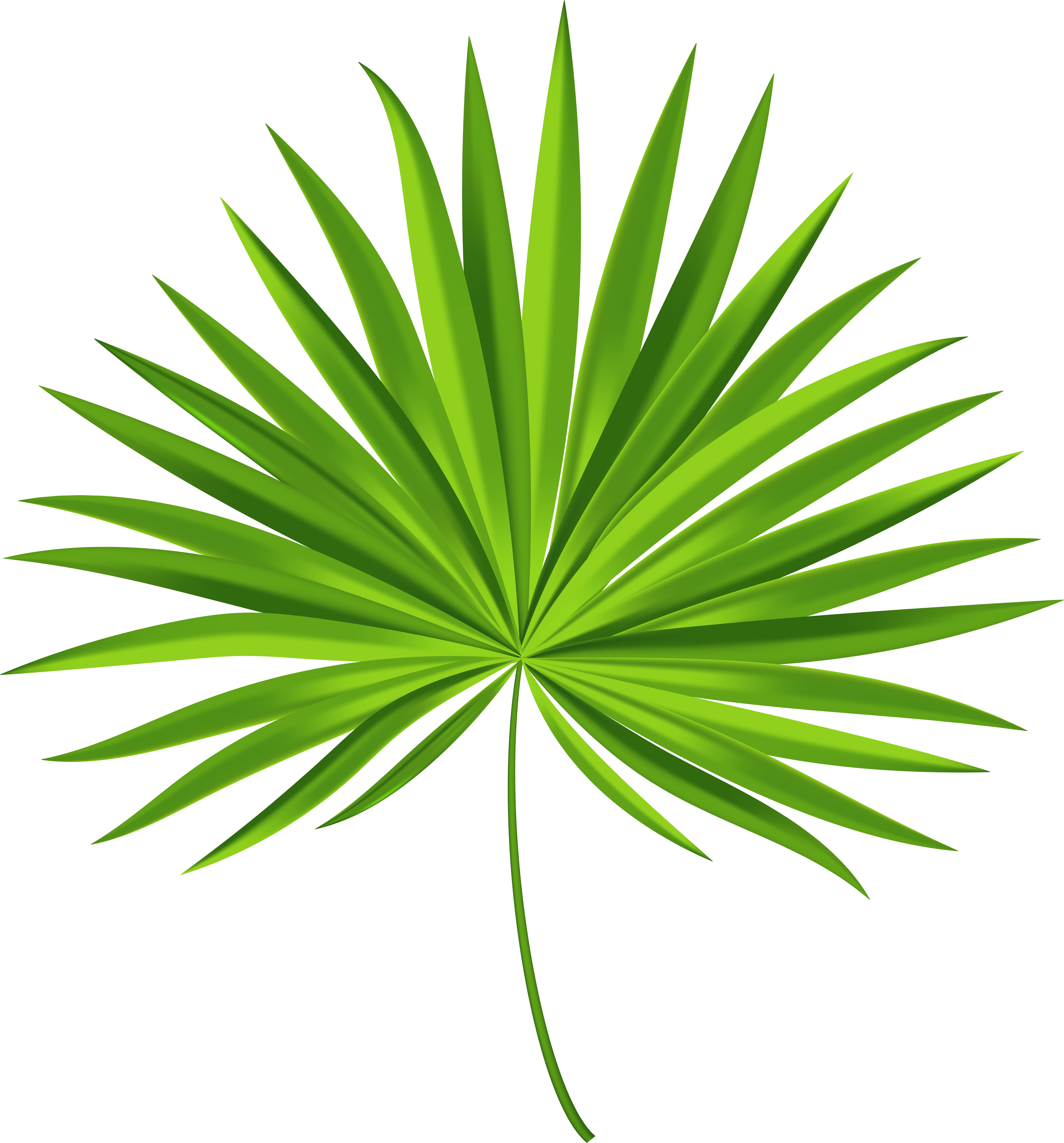 Tropical Leaves Clipart - Png Download (7450x8000), Png Download