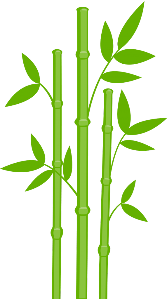 Bamboo Clipart - Png Download (564x1010), Png Download