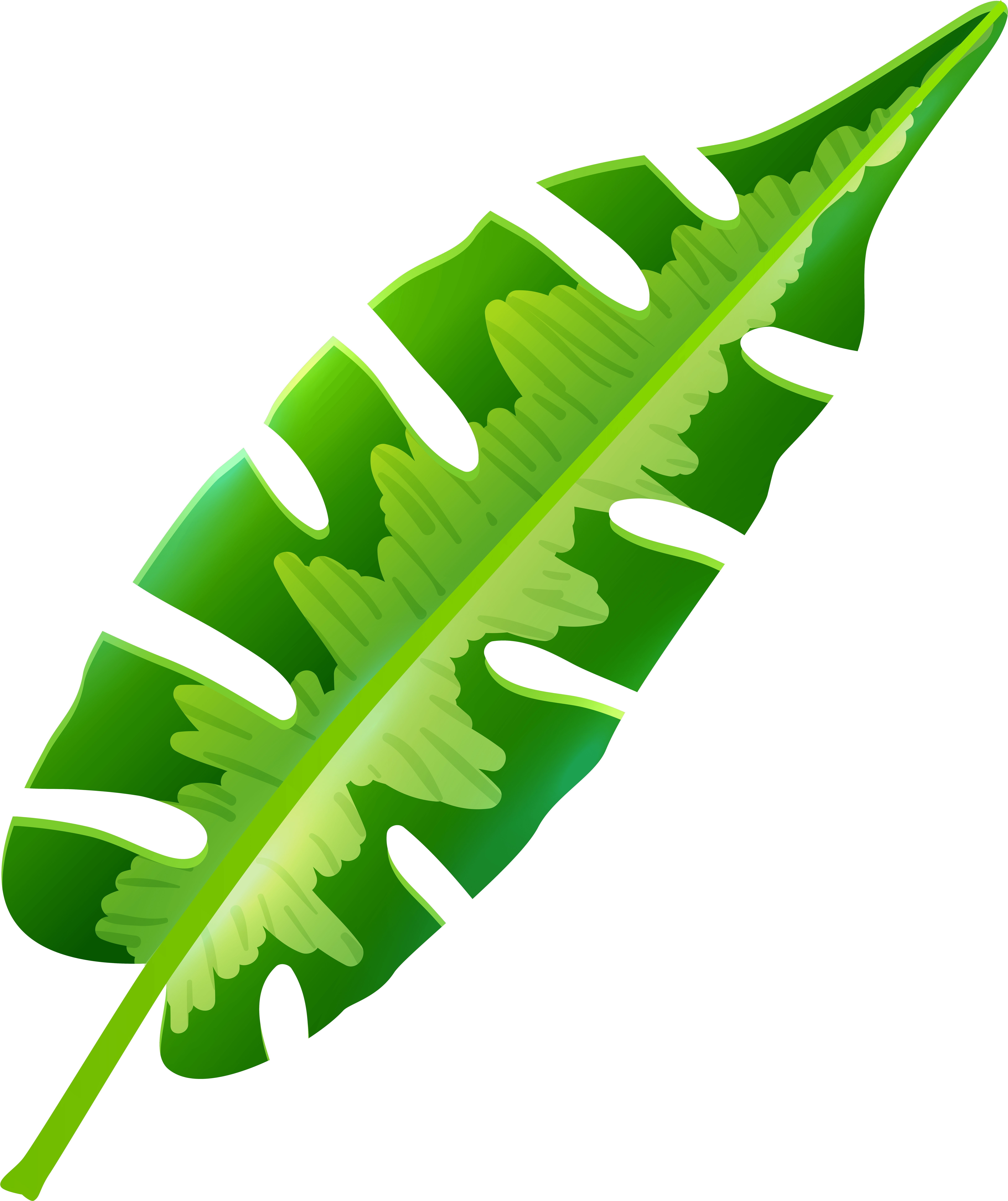 Tropical Leaf Clip Art Clipart Free Download - Png Download (6775x8000), Png Download