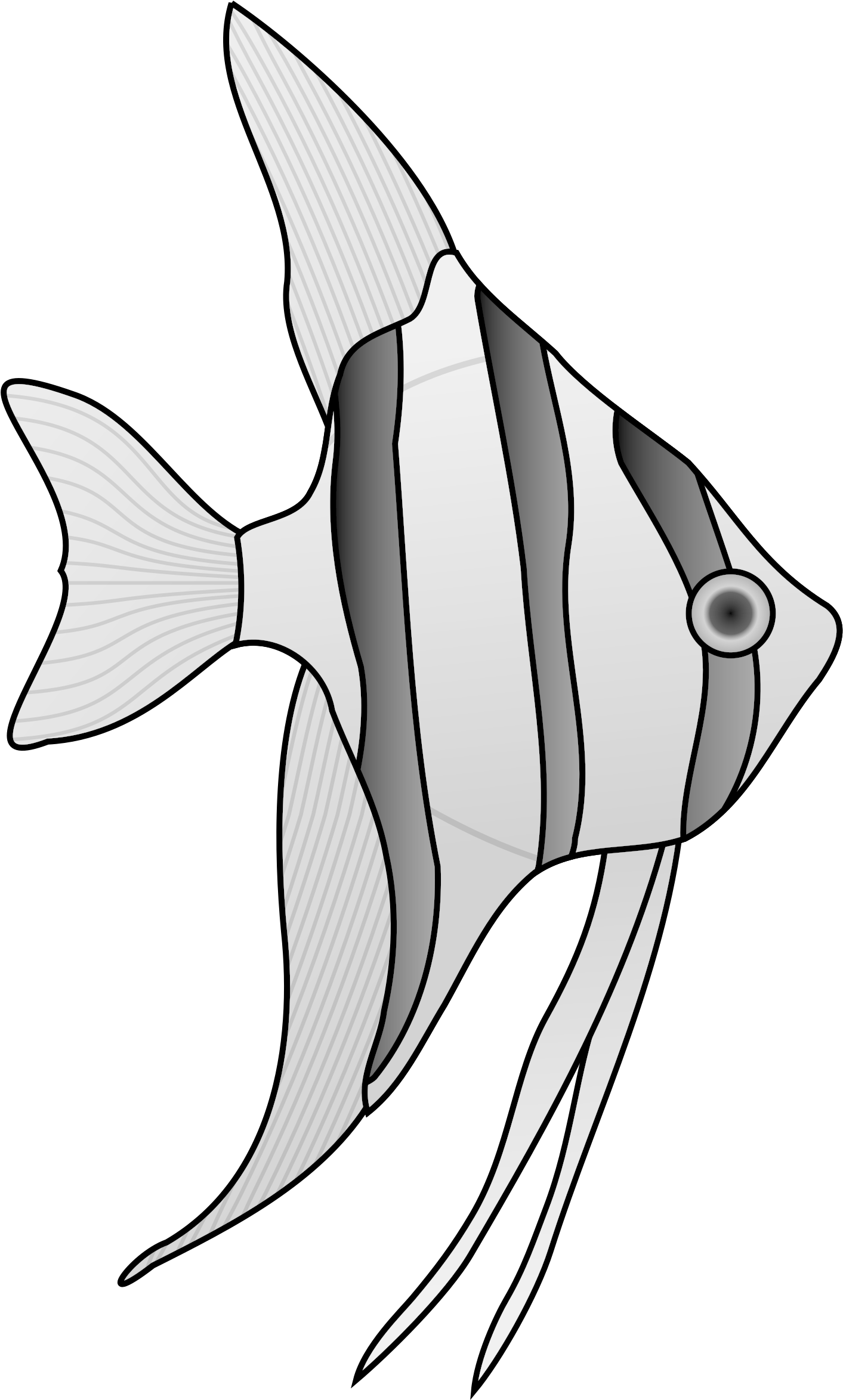 clipart-black-and-white-angel-fish-png-download-full-size-clipart