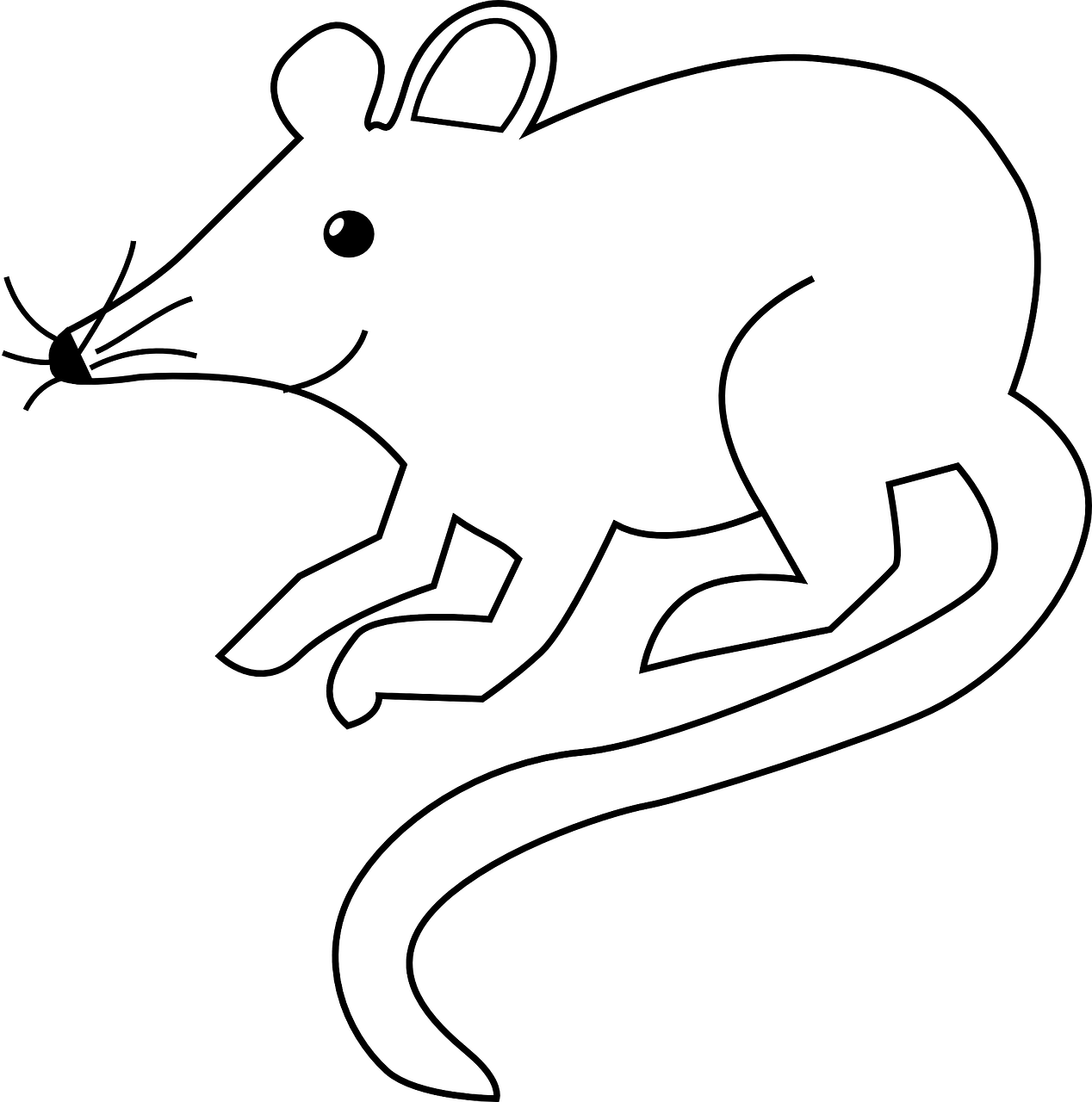 All Photo Png Clipart - Rat Black And White Transparent Png (743x750), Png Download