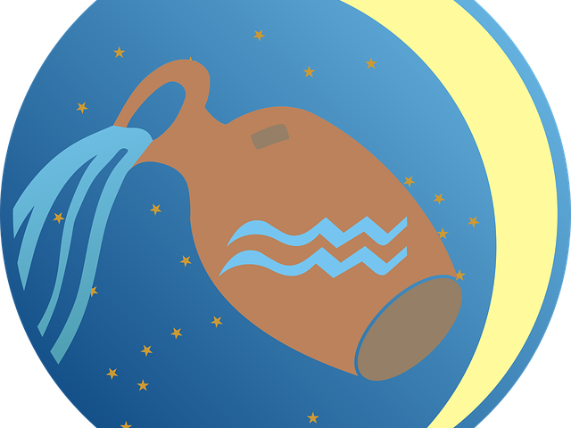 Carrot Clipart Aberration - Acquario Zodiaco - Png Download (640x480), Png Download