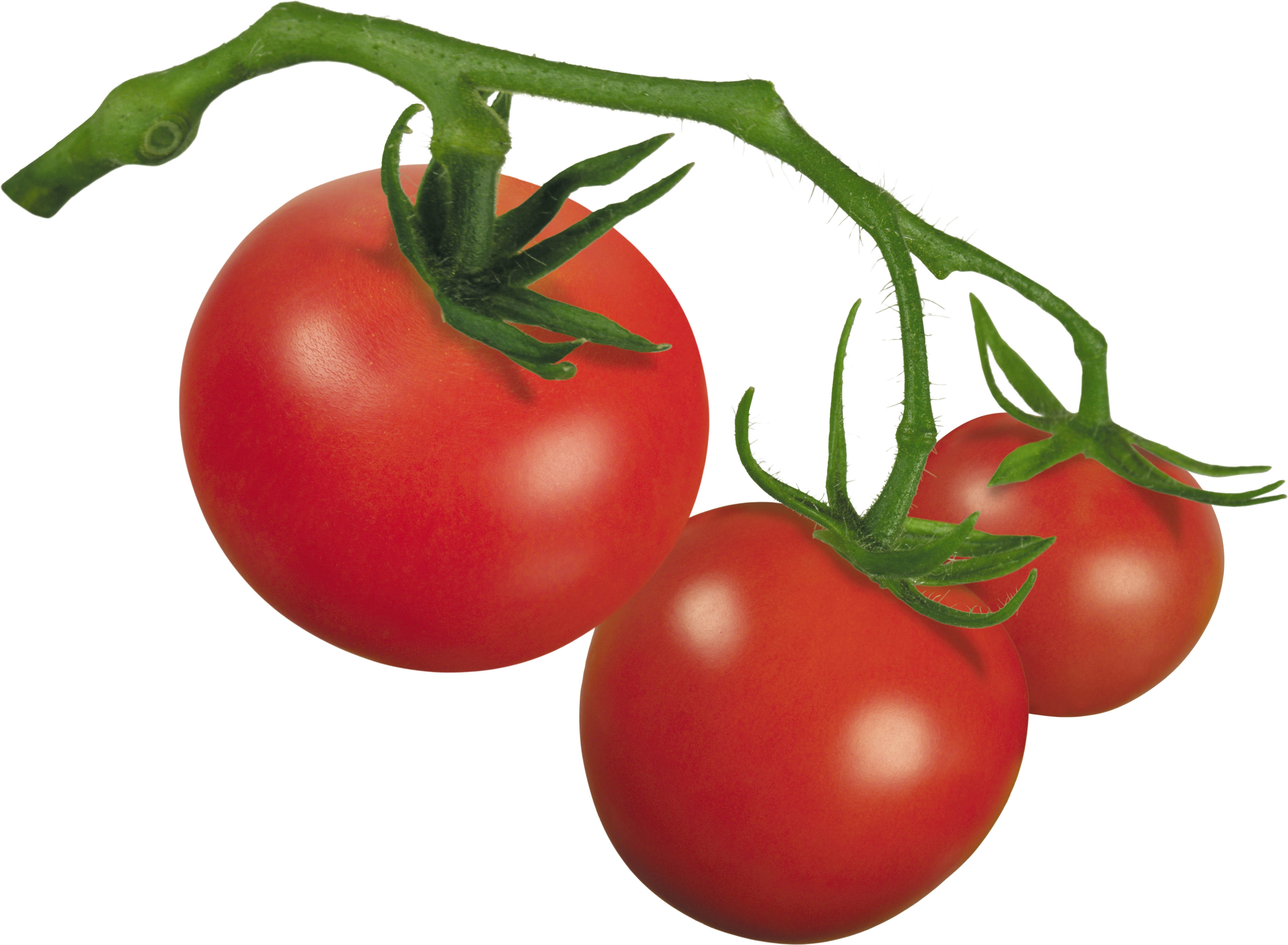 Clipart Of Tomato, Tomato The And Tomato Of - Plum Tomato - Png Download (3841x2819), Png Download