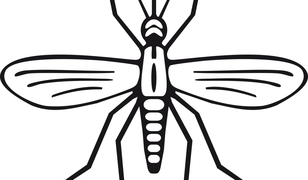 Black And White Mosquito Clipart - Png Download (1024x600), Png Download