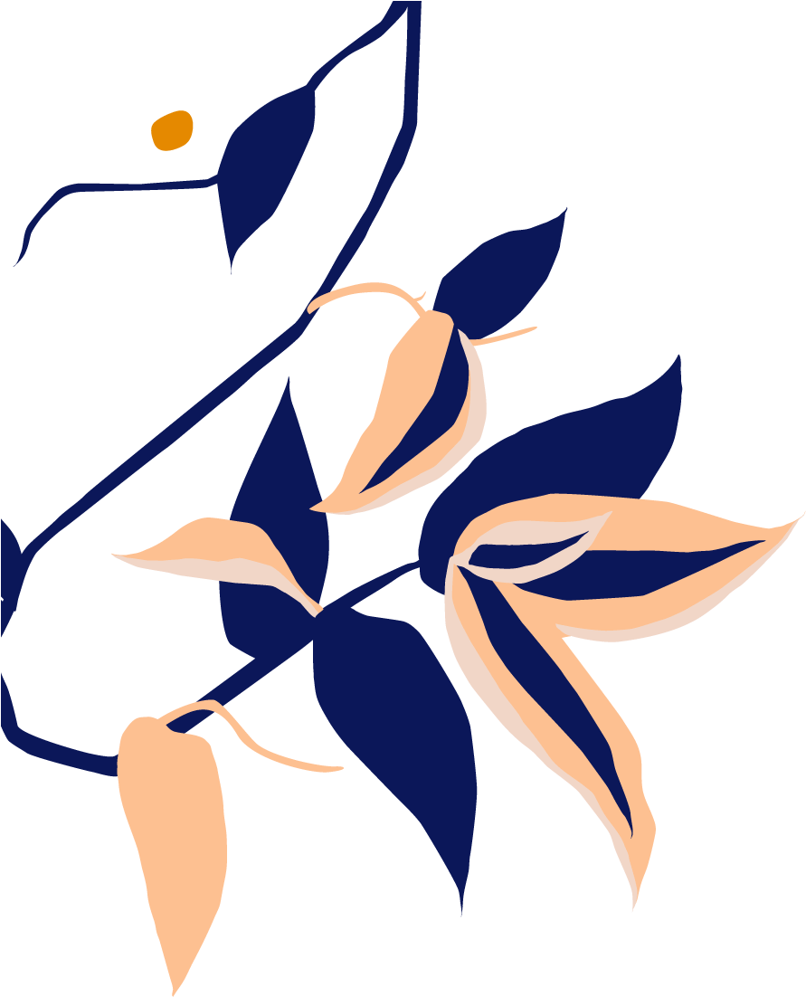 Botanical Name Clipart (923x1135), Png Download