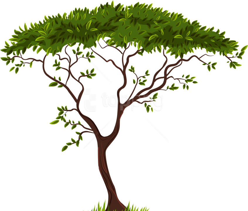 Free Png Download Exotic Tree Clipart Png Photo Png - Clipart Transparent Background Tree (851x733), Png Download