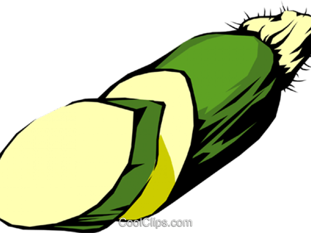 Zucchini Clipart - Png Download (640x480), Png Download