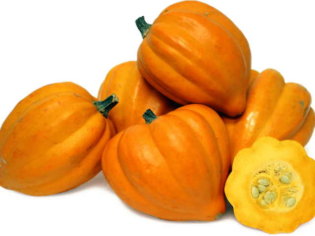 Zucchini Clipart Cute - Acorn Squash Png Transparent Png (640x480), Png Download