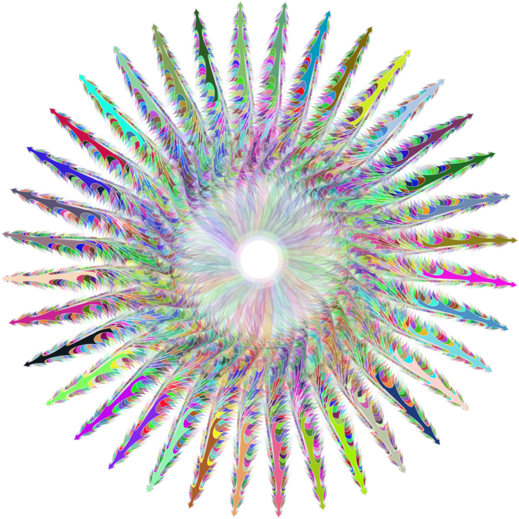 Fireworks Drawing Cartoon Line Art Clipart (750x750), Png Download