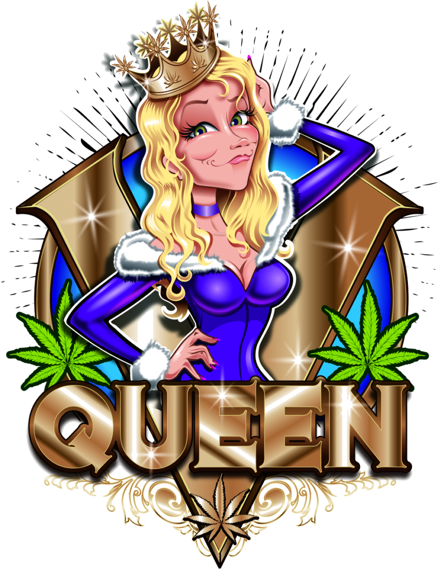 Medz Provides A Plethora Of Services - Cartoon Clipart (989x1280), Png Download