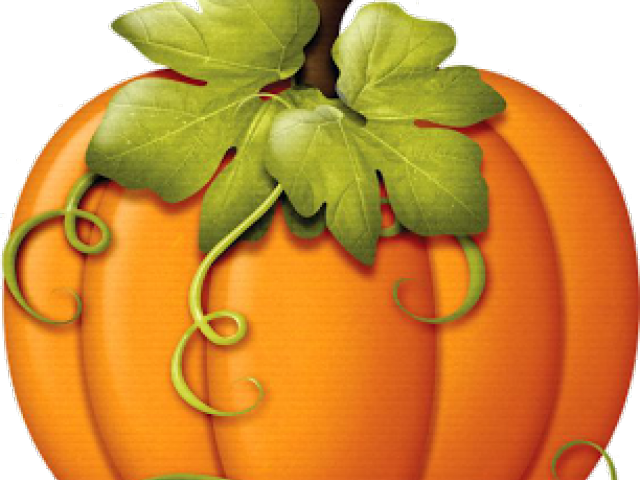 Harvest Clipart Colorful Pumpkin - Pumpkins With Vines Clipart - Png Download (640x480), Png Download