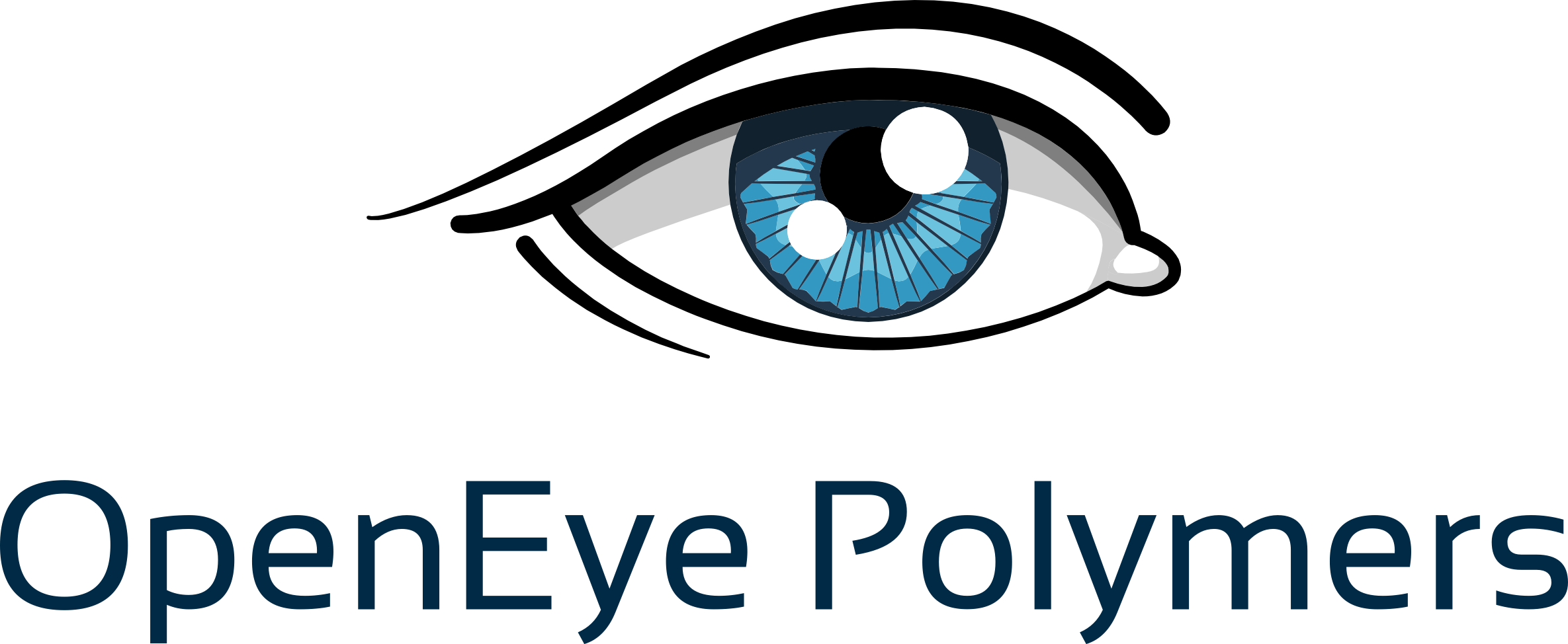 Logo - Optical Clinic Clipart (2370x974), Png Download