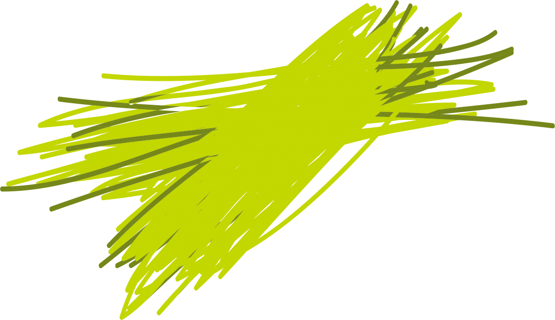 Sug 0000 Wheatgrass - Grass Clipart (1135x654), Png Download