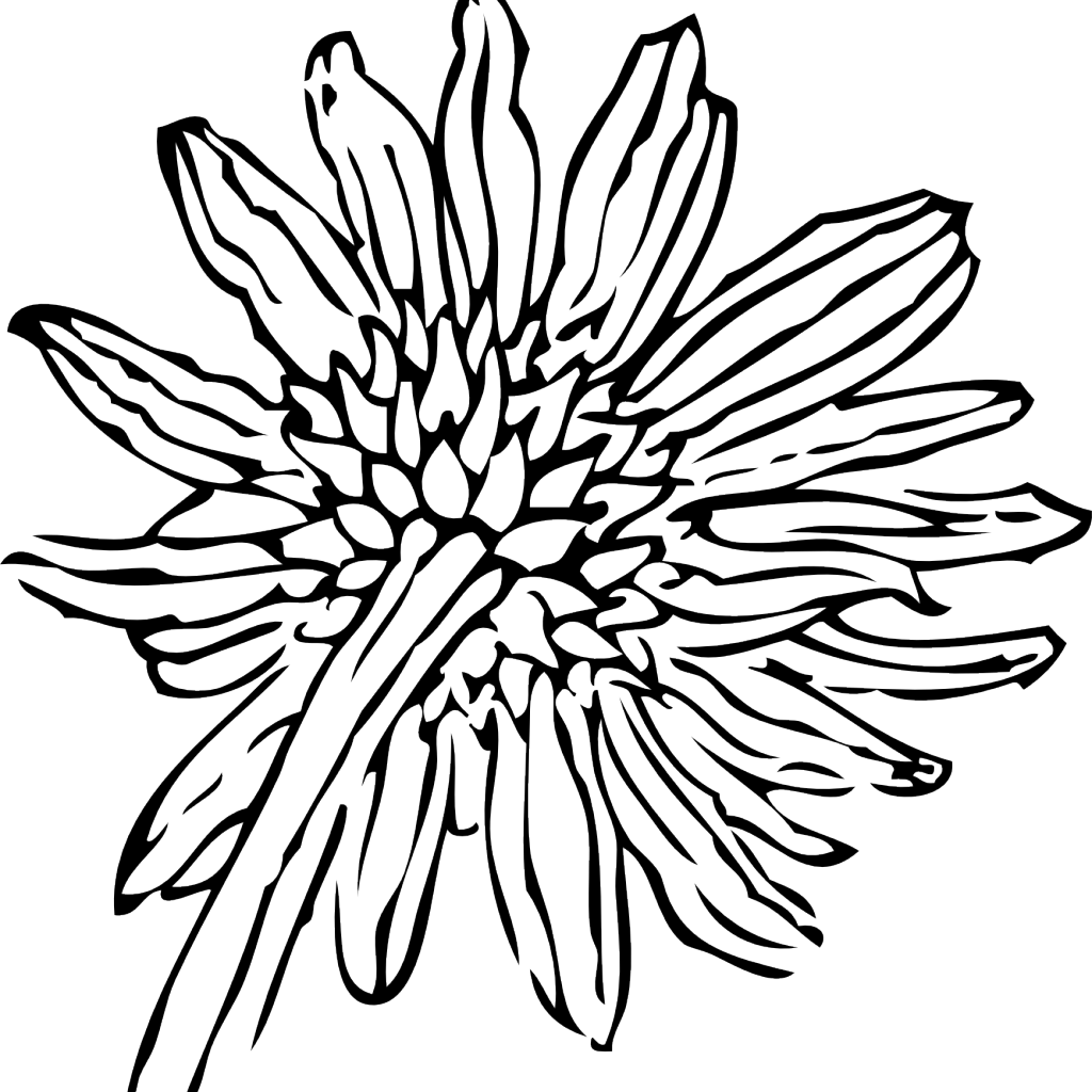 Sunflower Clip Art - Png Download (1024x1024), Png Download