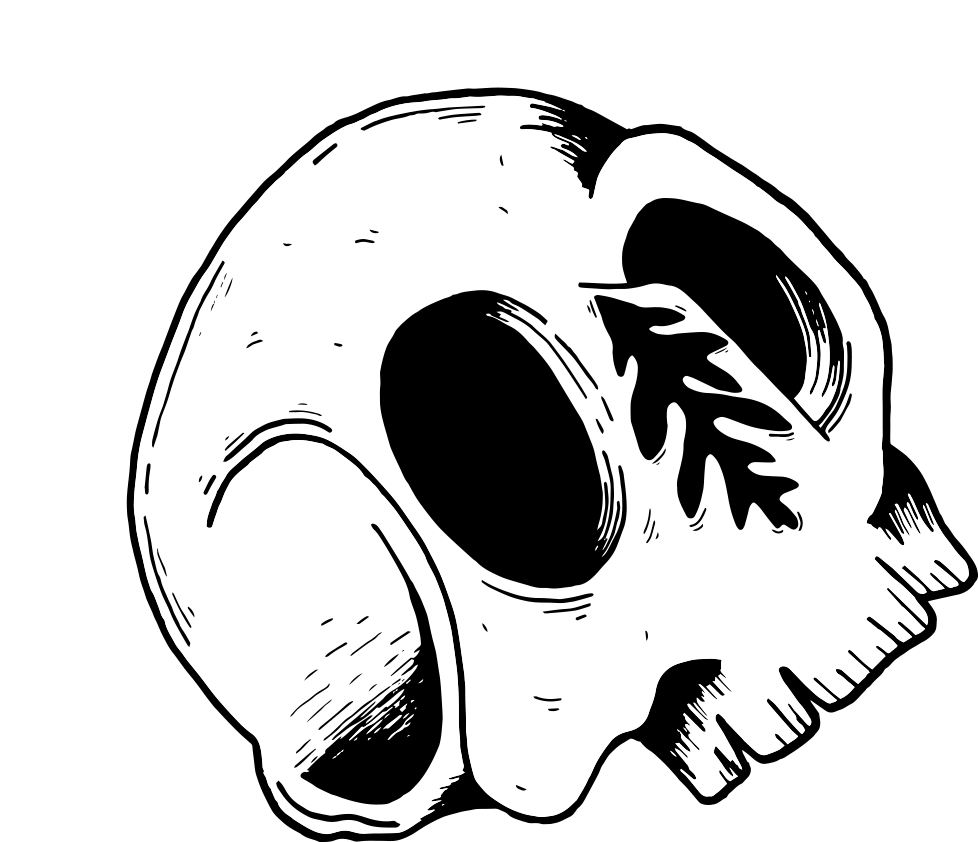 Broad Leaf Local Beer Logo - Illustration Clipart (1000x841), Png Download