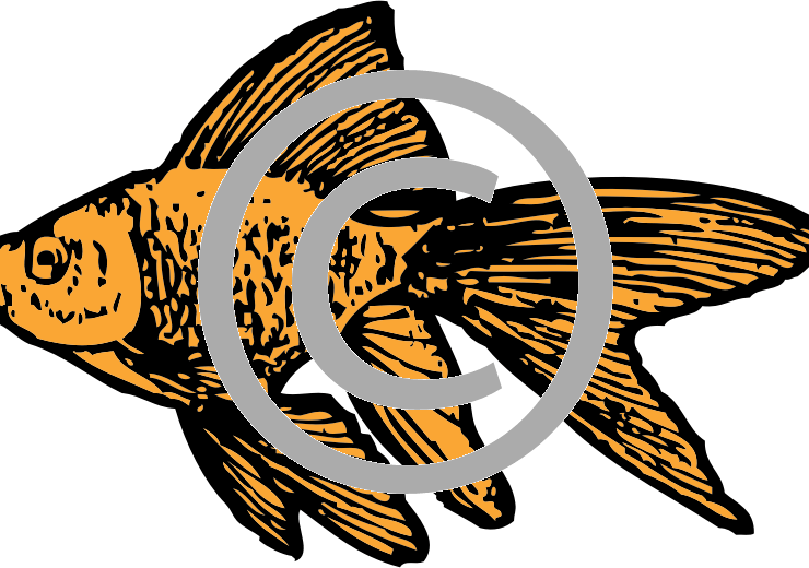 Buying Options - Black And White Clipart Goldfish - Png Download (740x520), Png Download