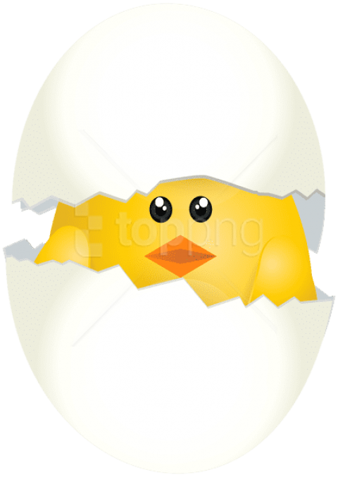 Free Png Download Easter Chicken Png Images Background - Circle Clipart (480x677), Png Download