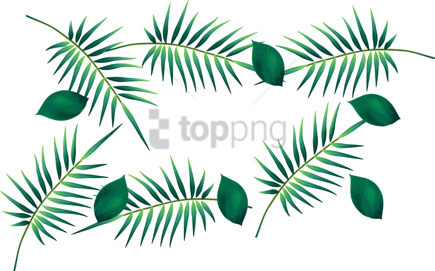 Free Png Download Palm Leaf Watercolour Transparent - ورق اخضر Png Clipart (850x529), Png Download