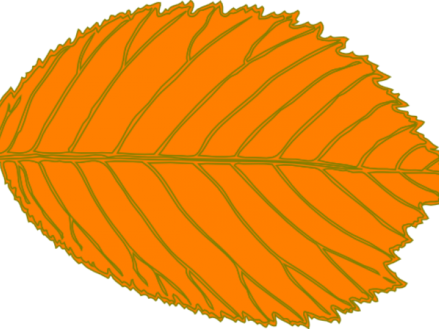 Brown Leaf Clip Art - Png Download (640x480), Png Download