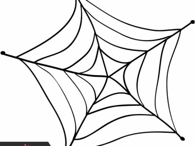 Spider Web Clipart Doodle - Spider Web - Png Download (640x480), Png Download
