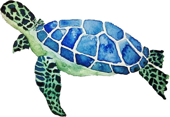 Cute Turtle Png - Sea Turtle Cushion Clipart (612x612), Png Download