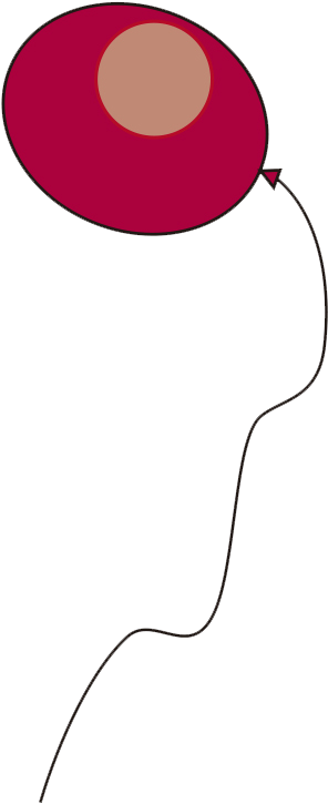 Abbie White English School Es Una Academia De Inglés - Tuzan Smajli Clipart (503x834), Png Download