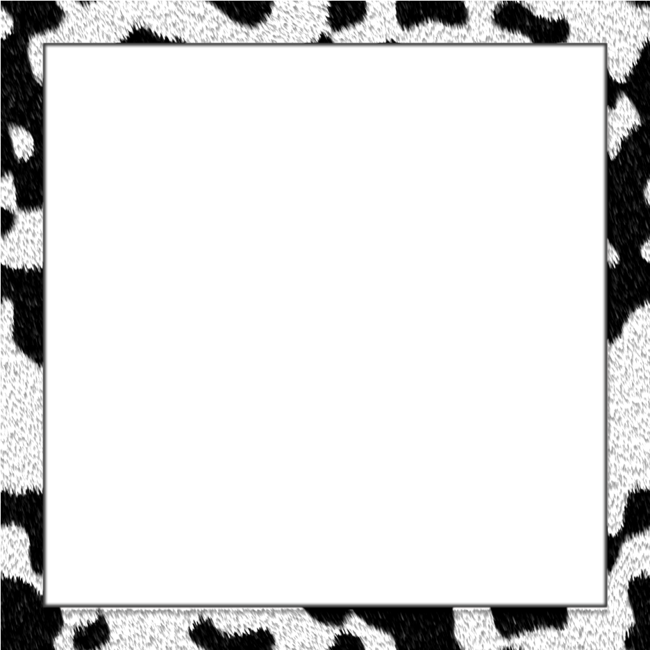 #freetoedit #frame #dalmation #cow - Picture Frame Clipart (1024x1024), Png Download