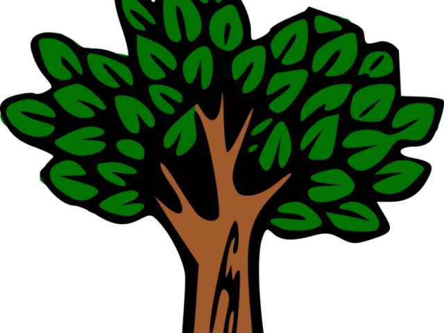 Rainforest Clipart Broken Tree - Tree Clip Art Forest - Png Download (640x480), Png Download