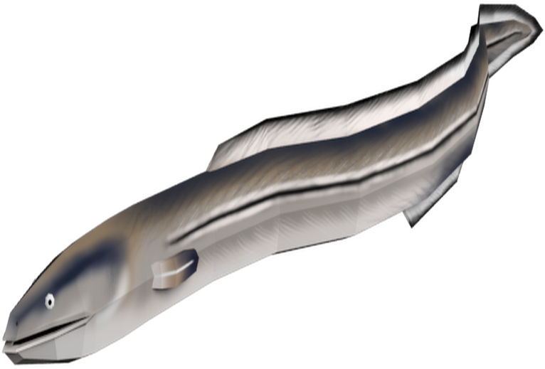 Transparent Eel - Poly - Ammunition Clipart (1024x1024), Png Download