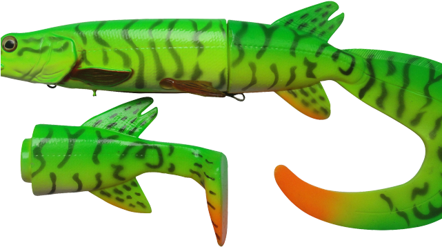 Eel Clipart Baby - Reptile - Png Download (640x480), Png Download