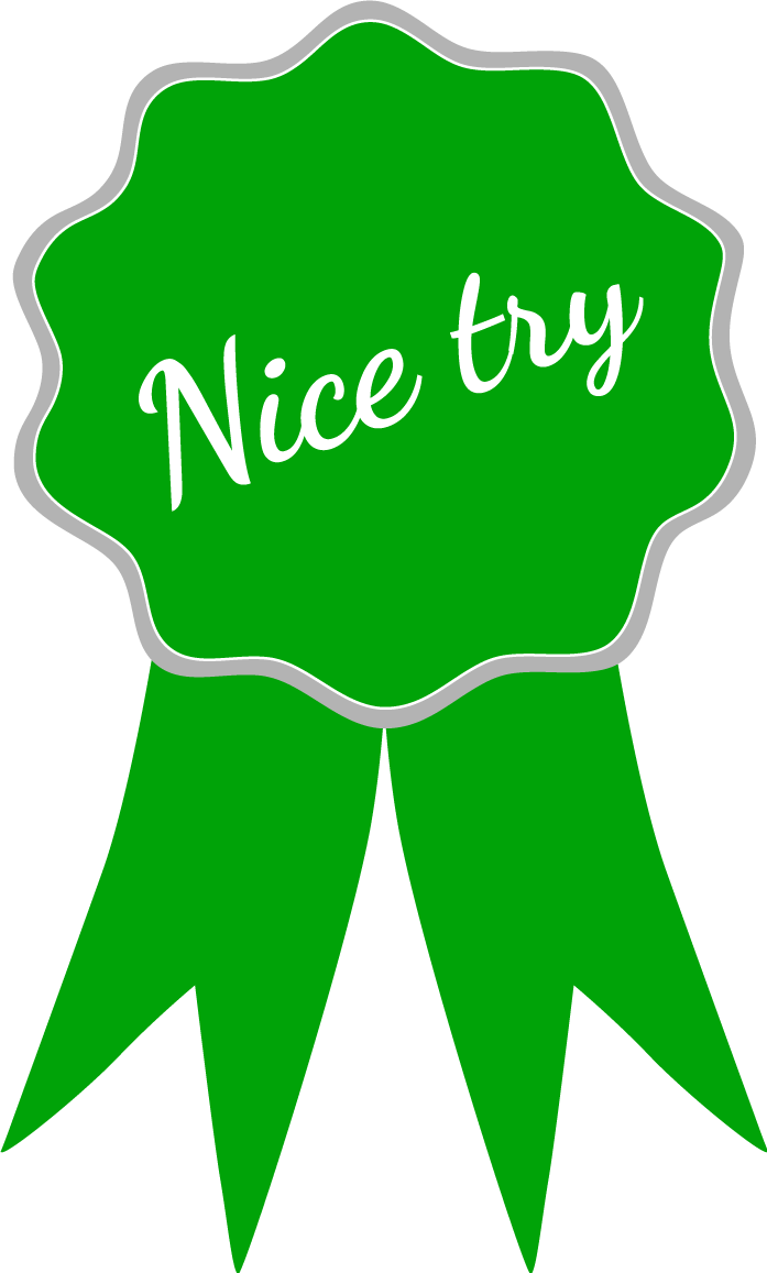Participation Ribbon Clip Art For Kids - Nice Try Png Transparent Png (697x1157), Png Download