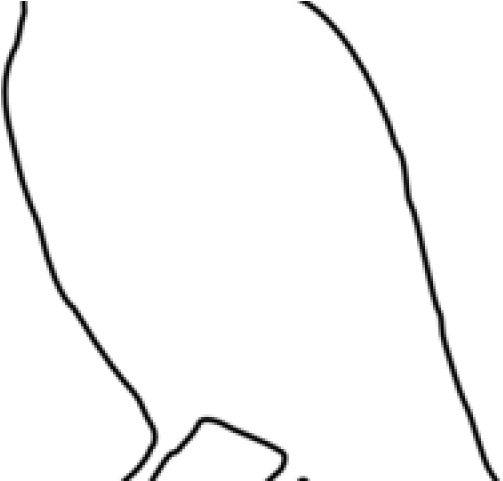 Raven Clipart Raven Outline - Silhouette - Png Download (640x480), Png Download