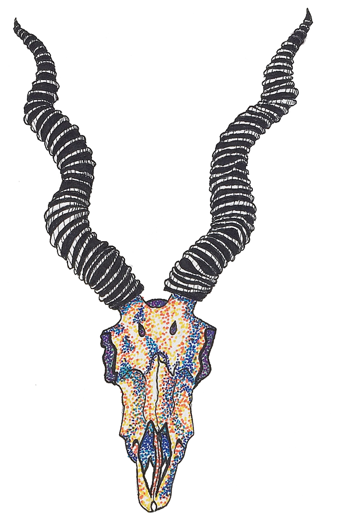 Wizard Skull Wallpaper Org Draw Graffiti Wizard Skull - Necklace Clipart (733x1086), Png Download