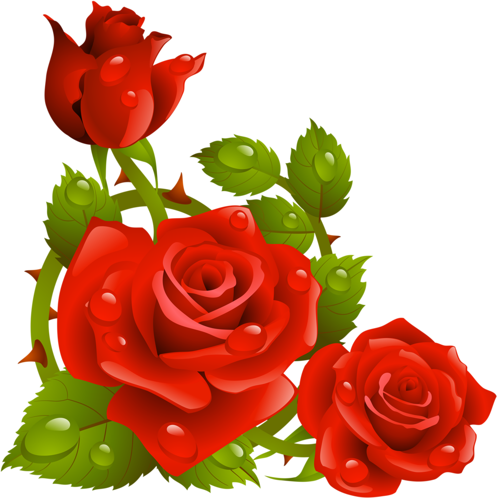 Фото, Автор K - Clip Art Borders Flowers Rose - Png Download (1024x1024), Png Download