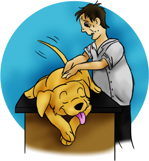 Give Your Pet Massages To Alleviate Inflammation Of - Cartoon Clipart (755x740), Png Download