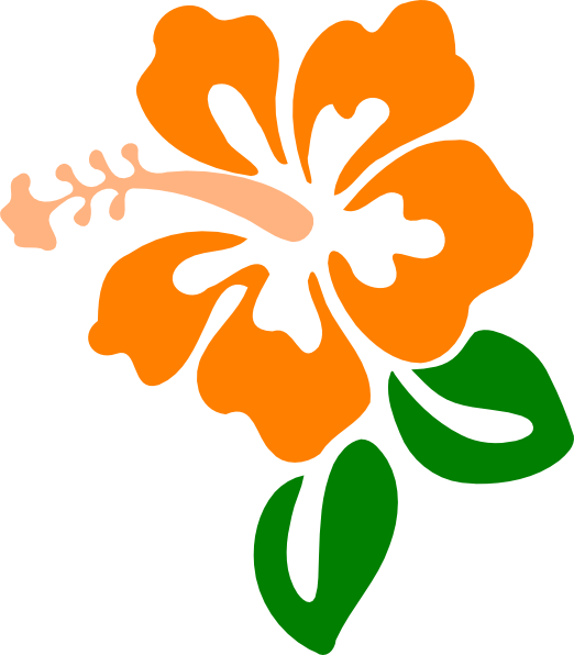 Hibiscus Clip Art - Png Download (522x596), Png Download