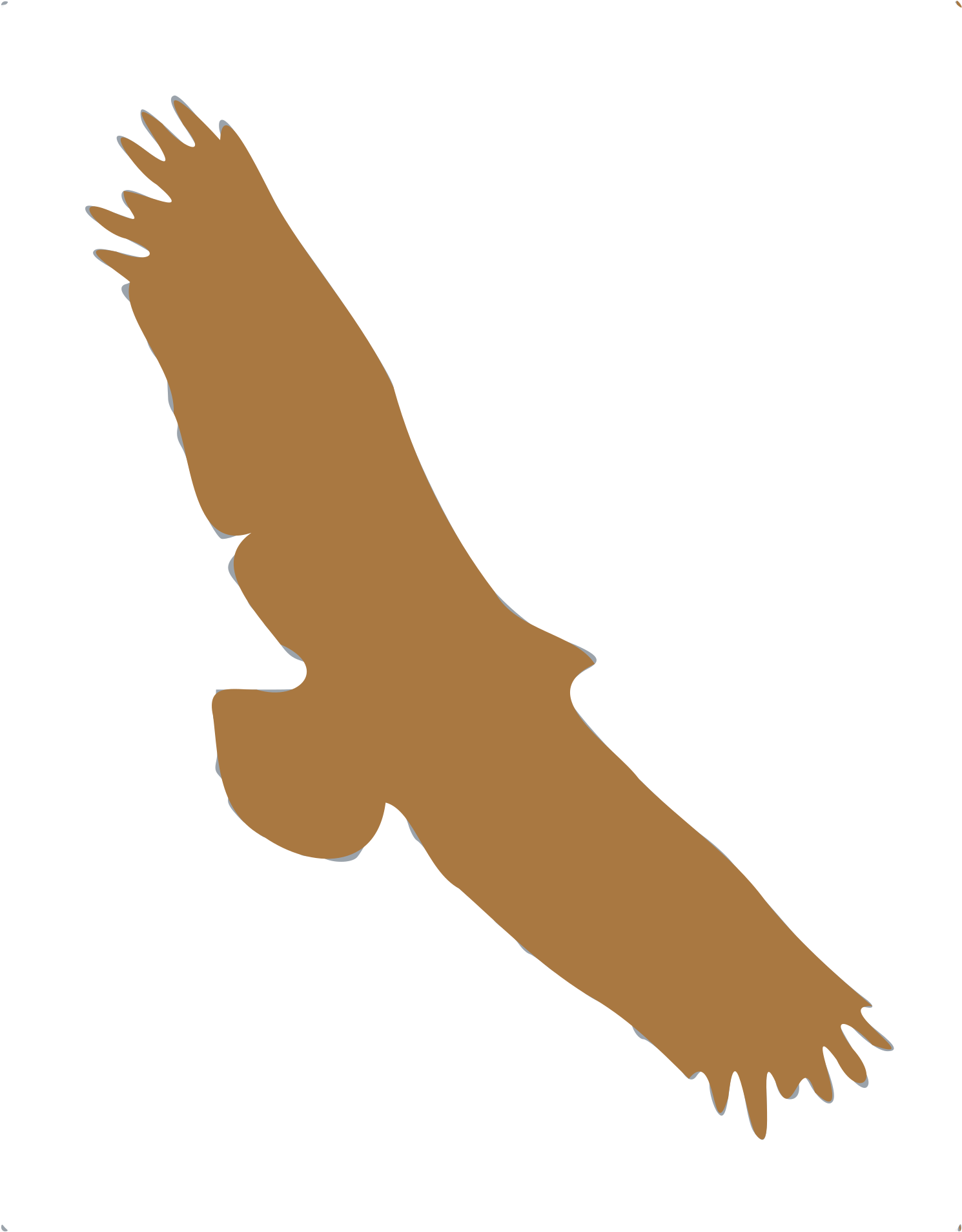This Free Icons Png Design Of Silhouette Animaux 05 - Golden Eagle Clipart (1983x2400), Png Download