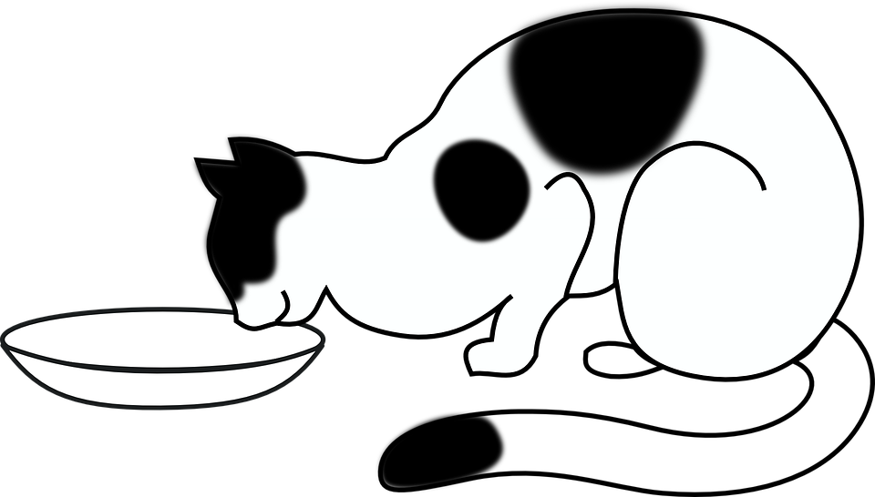 Fluffy Cat Clipart Of Encourage, Cats And Gathered - 25 Jaar Getrouwd Humor - Png Download (960x546), Png Download