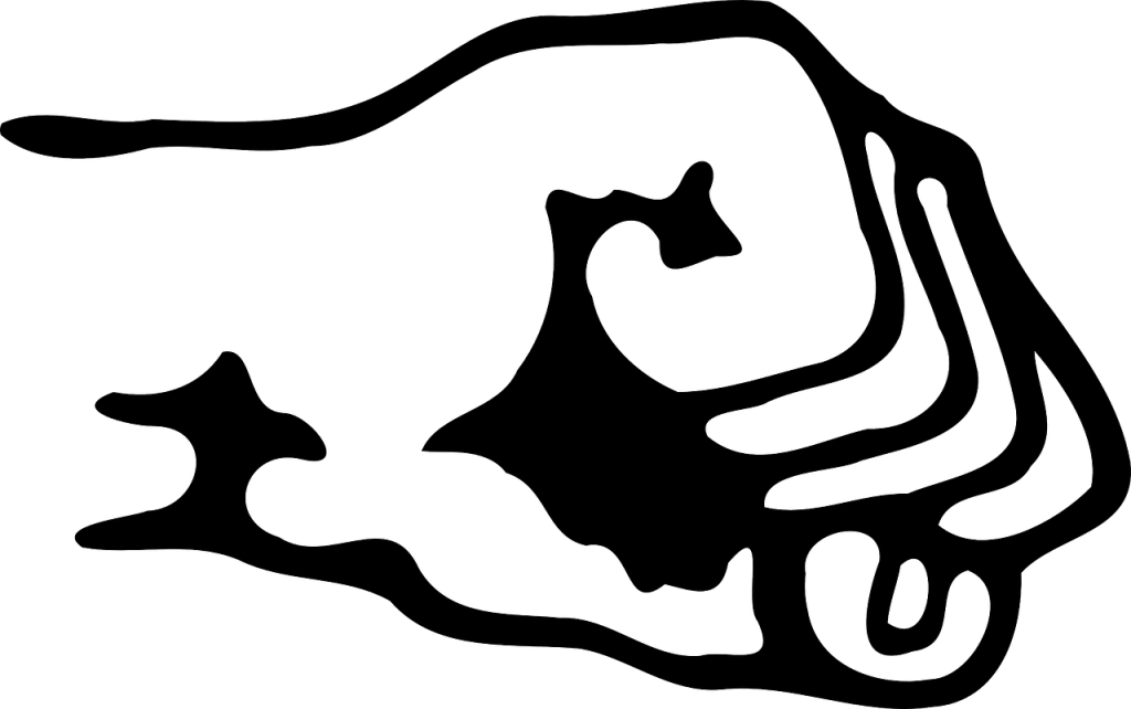 The Upper Half Of The Classic Boxers Stance - Animal Liberation Human Liberation Clipart (1024x642), Png Download