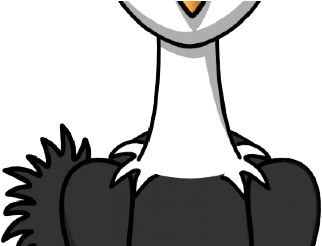Ostrich Clipart - Ostrich - Png Download (640x480), Png Download